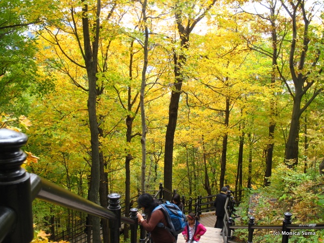 Going down Mount Royal Montreal