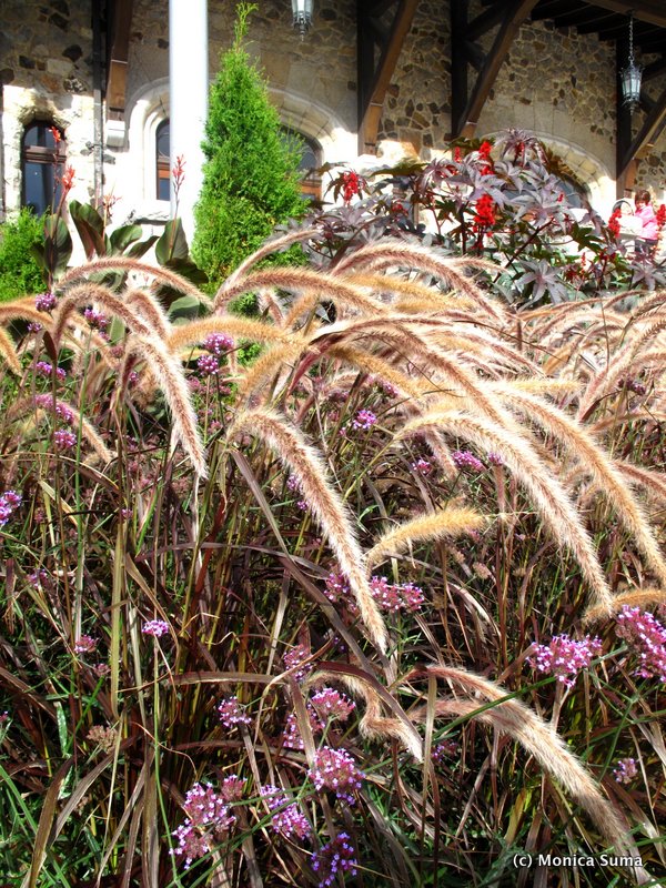 Kondiaronk Belvedere Montreal fall foliage