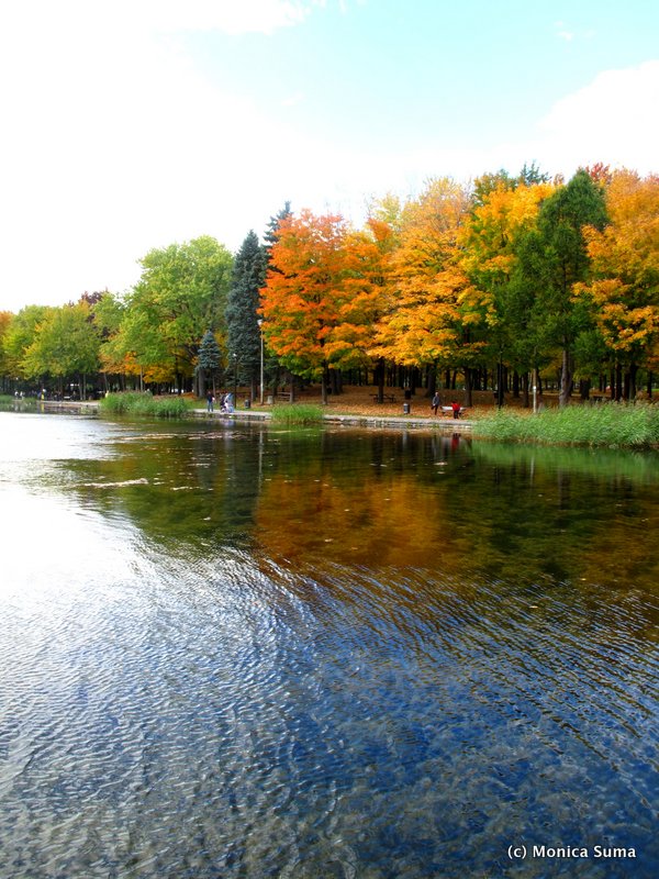 Beaver Lake Mount Royal