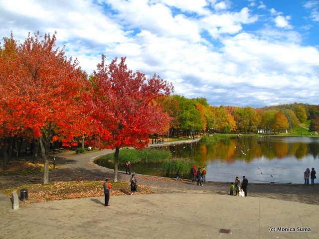 Fall colors Beaver Lake Mount Royal