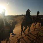 AR OSE riding camels at Erg Chebbi in the Sahara